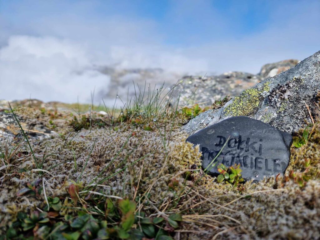 widok z gór